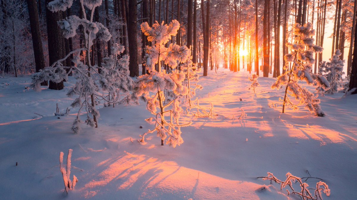inexplore_mag's tweet photo. « La nature n'est pas seulement matière, elle est aussi esprit. »
- Carl Gustav Jung
⭐ Découvrez l’article « Jung, l’esprit et la matière » sur Inexploré digital : https://t.co/Kxy9qooRYI
Nous vous souhaitons une très belle fin de semaine, avec #Inexploré et #INREESTV.
#citation https://t.co/JETm2Xie8O
