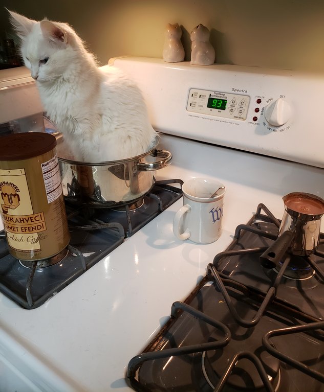 Bu yıl gerçekten inancımı, akıl sağlığımı, mali durumumu ve kalbimi sınadı.