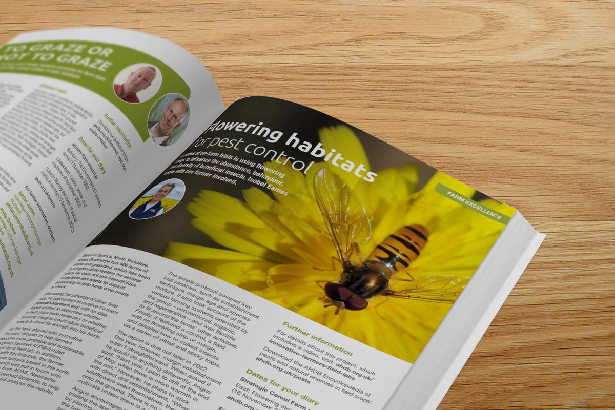 mdte – freelance studio support tweet media