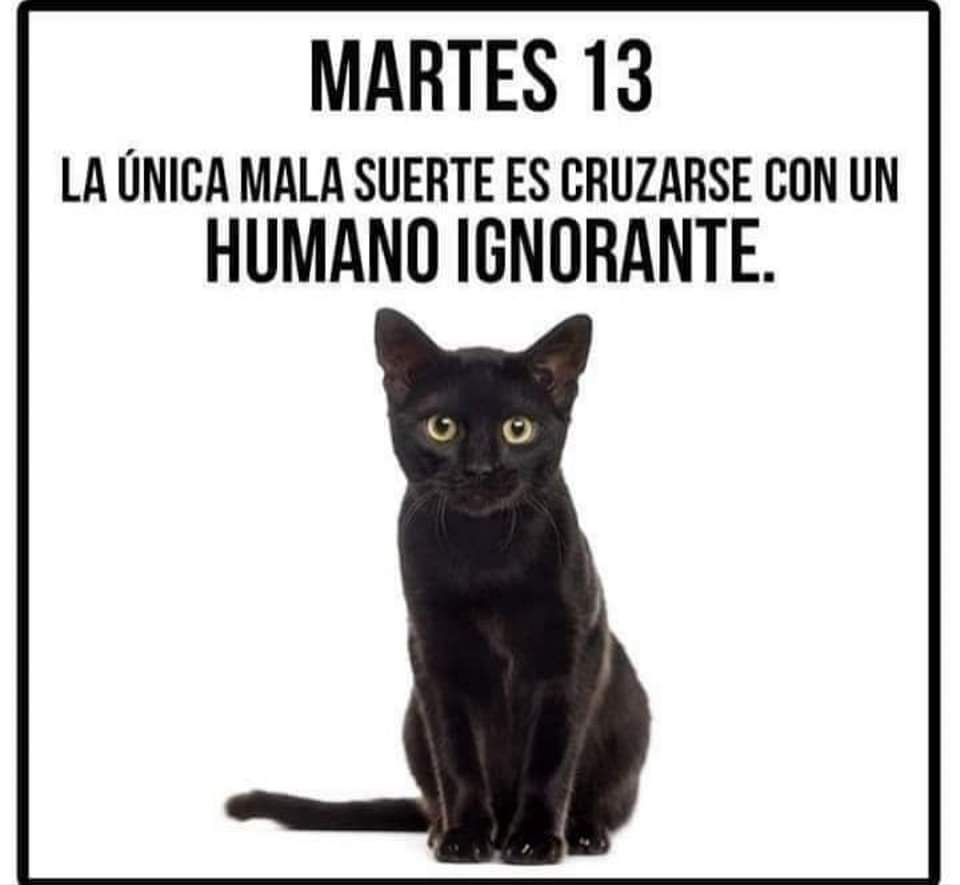 Dicen de ti : Que eres un ser humano.
Dicen de mi : Que soy un animal.
Y no se han dado cuenta que nuestra diferencia está en algo simple: Tú, piensas que me quieres y yo, te quiero sin pensar...              ❤️🌙
 . 🙏
#NavidadSinMaltratoAnimal 
<a href="/Barraza_E_19/">Barraza Stefy 🐾🐶🐾🐱🐾💜</a> @Majedi_RG