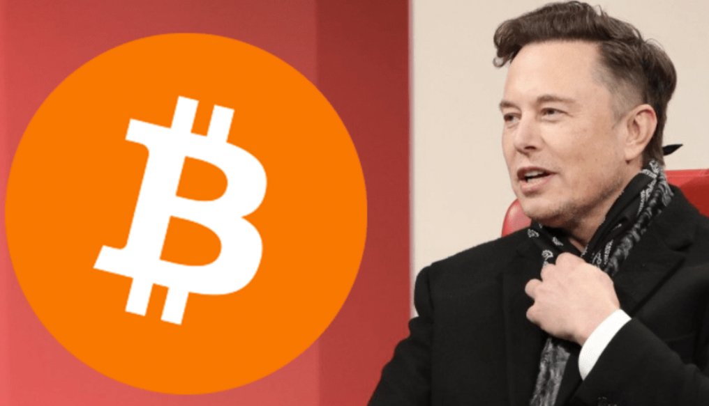 pete_rizzo_'s tweet image. ✨ Twitter CEO explaining #Bitcoin exactly 1 year ago: It's a "store of value"