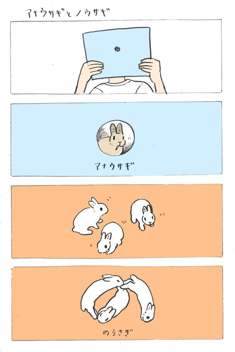 らくがきマンガ「アナウサギとノウサギ」🐇 