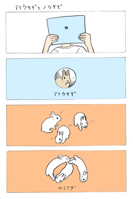 らくがきマンガ「アナウサギとノウサギ」🐇 