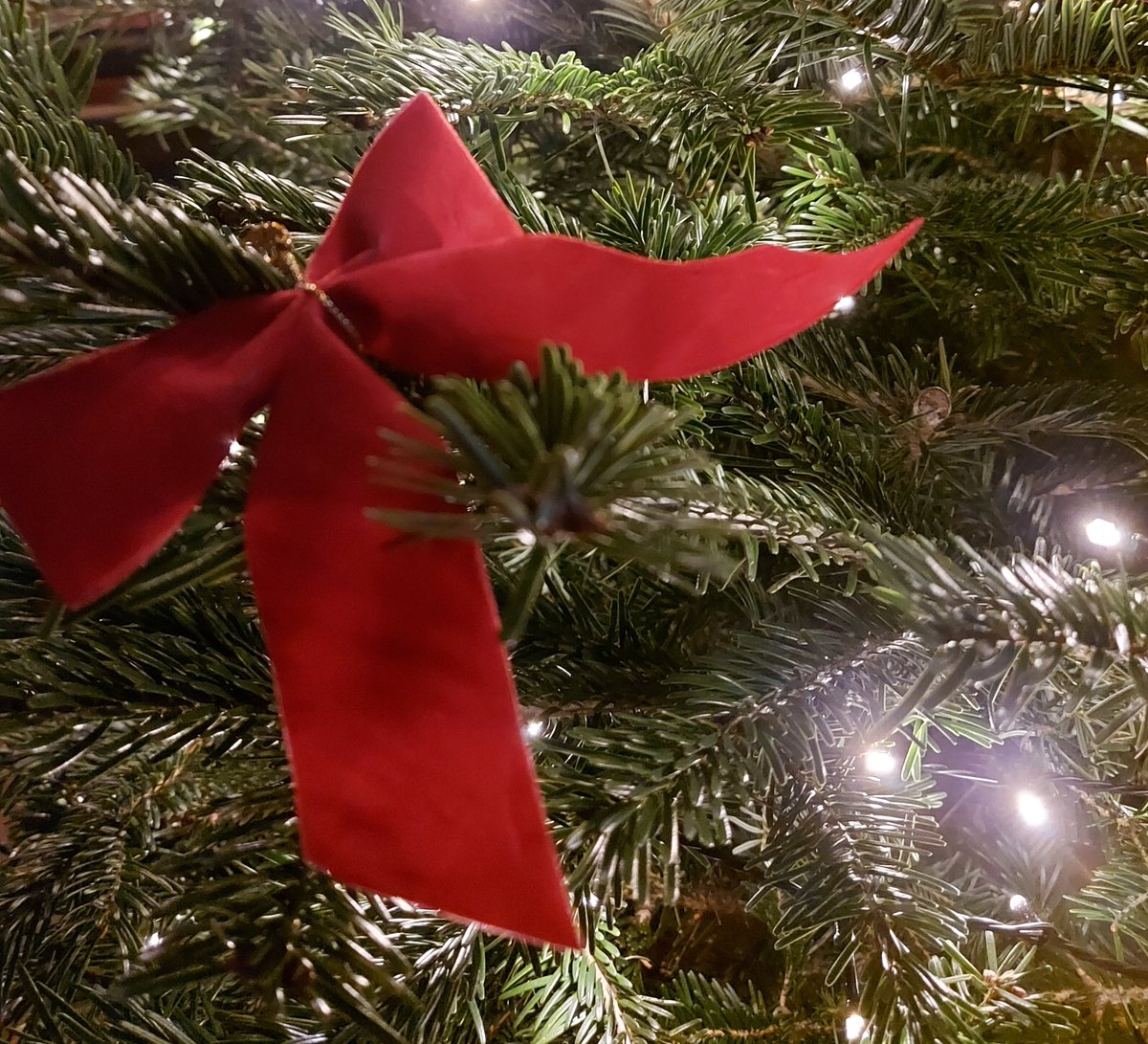 The Red Lodge Museum tweet media