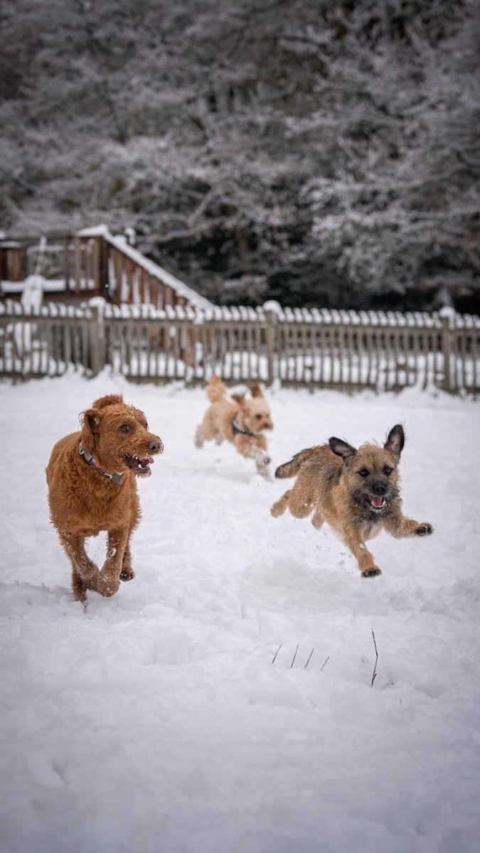 Dashing through the snow ❄️⛄️ #btposse