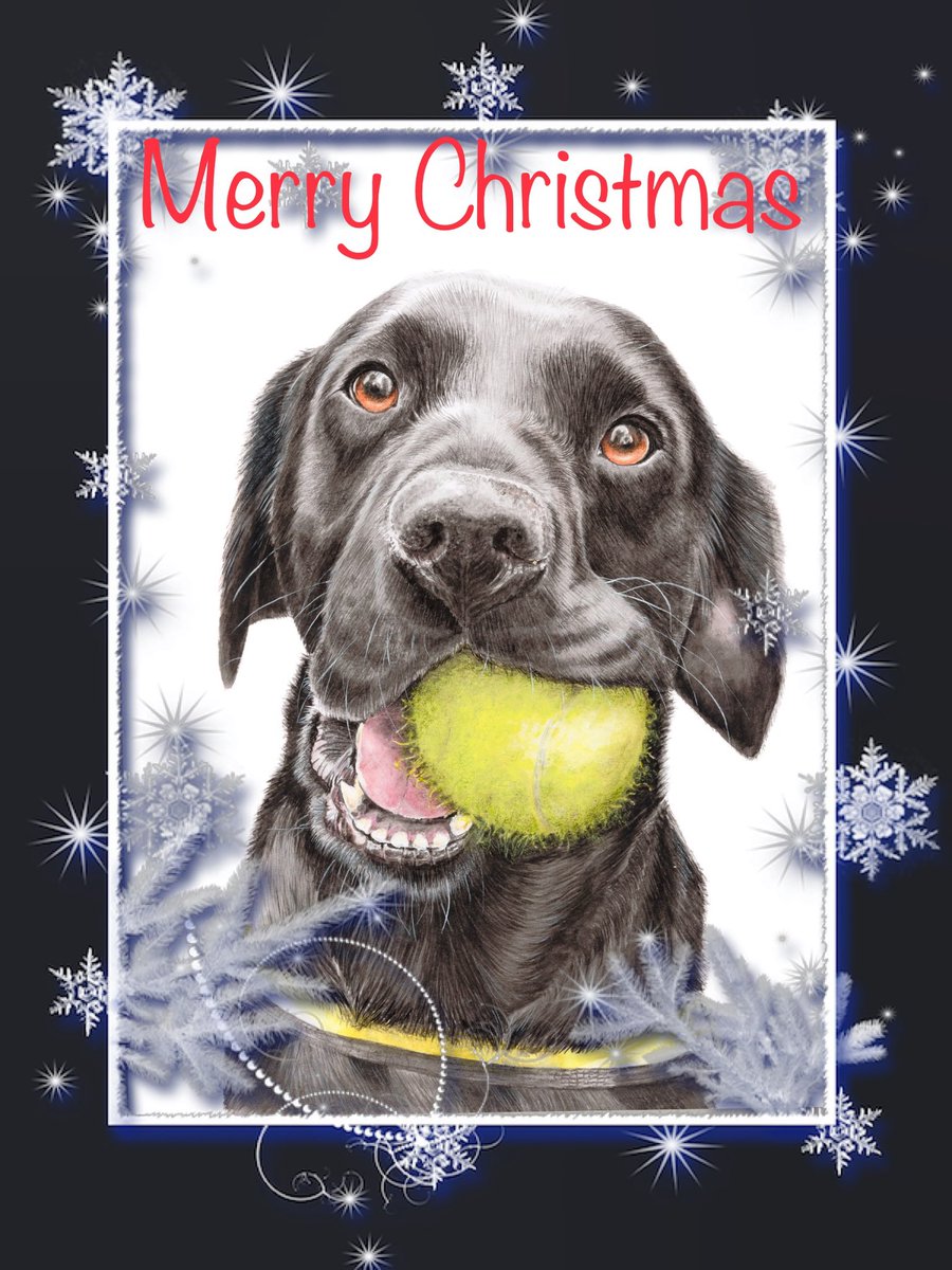 NicolaPepeART's tweet photo. @HertsFireDog Gorgeous Reqs wishing you Merry Christmas! 🤗🥰🐾🚒🚒🚒🚒🚒🚒But also check your smoke alarms now you’ve got all sorts plugged in and candles lit!!!🚒🚒🚒🚒🚒#CheckItTuesday https://t.co/t9xGJkfWyA