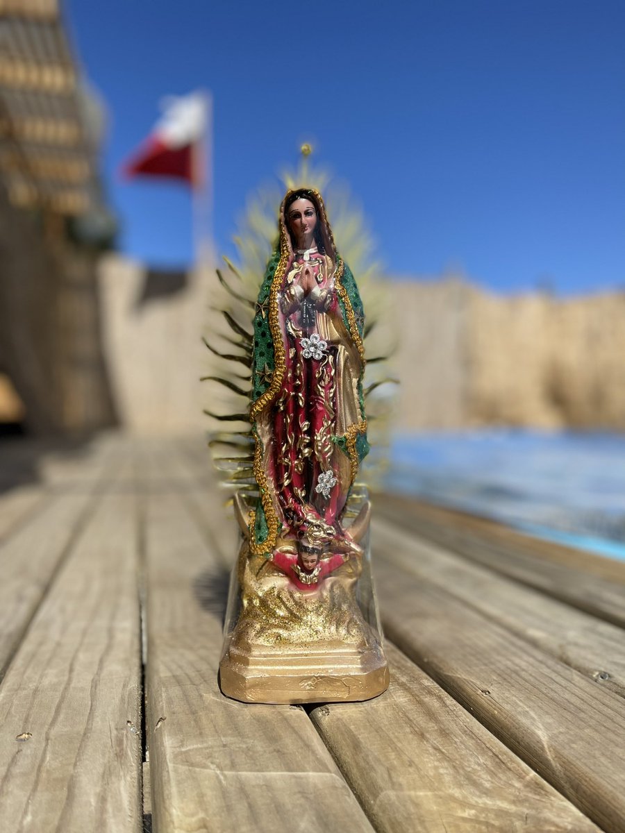 Saludos desde Chile 🥰 #VirgendeGuadalupe