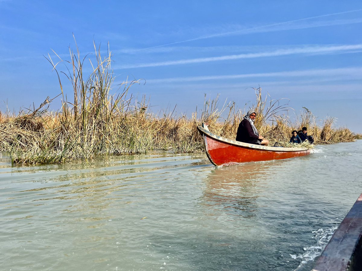 NorwayAmbJordan's tweet photo. #WorldHeritage Iraqi Marshes face difficulties caused by climate change and decreasing water levels💧

Representatives from Dhi Qar spoke of the challenges affecting the lives of the people here.

Many have had to leave, putting these historic communities and traditions in danger https://t.co/Pxe3LSVsLZ