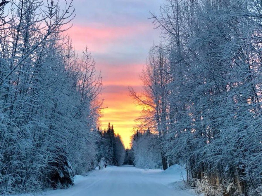 JRRTolkien's tweet image. “Well here comes #Christmas! That astonishing thing that no 'commercialism' can in fact defile – unless you let it.”
—J.R.R. #Tolkien to his son Michael in a letter dated 19 December 1962 #TolkienLetters