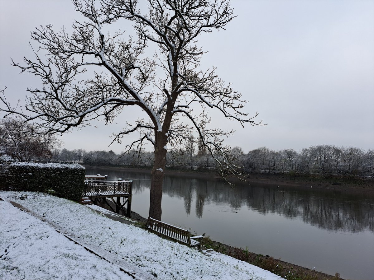 Mukti Jain Campion tweet media