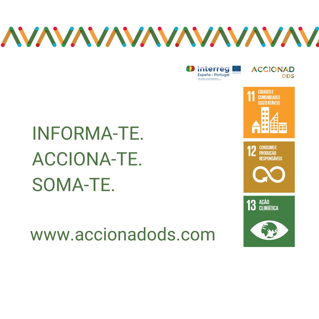 🇵🇹Desde AccionadODS as autoridades locais e as entidades da sociedade civil trabalham em coordenação sobre os ODS. 

🙌 Somate à Ação pelos #ods.

👉 accionadods.com

#porumfuturo #accionadods #porunfuturo