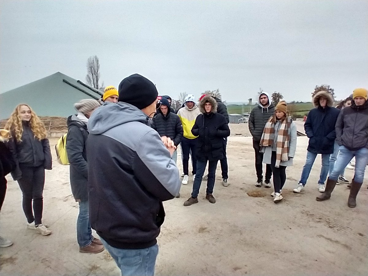 David PINHEIRO tweet media