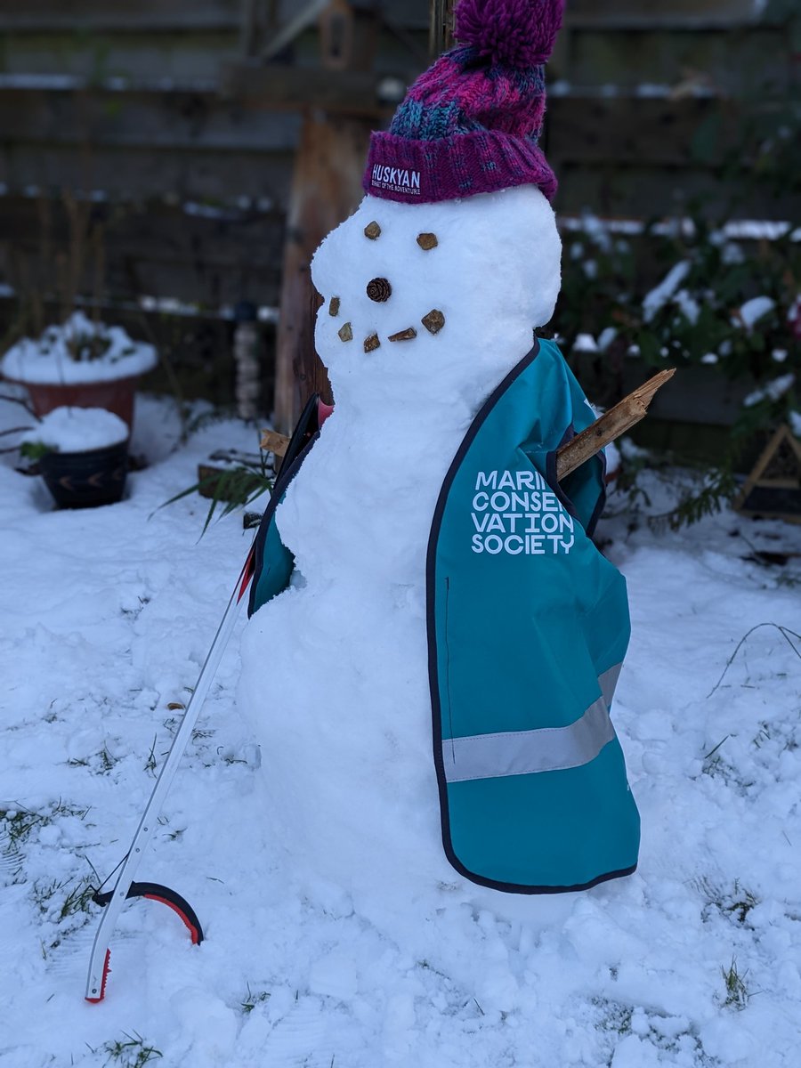 Catherine Gemmell tweet media