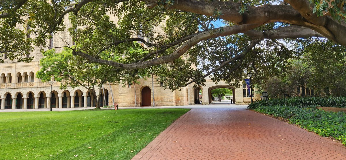 Dr Aila Khan tweet media