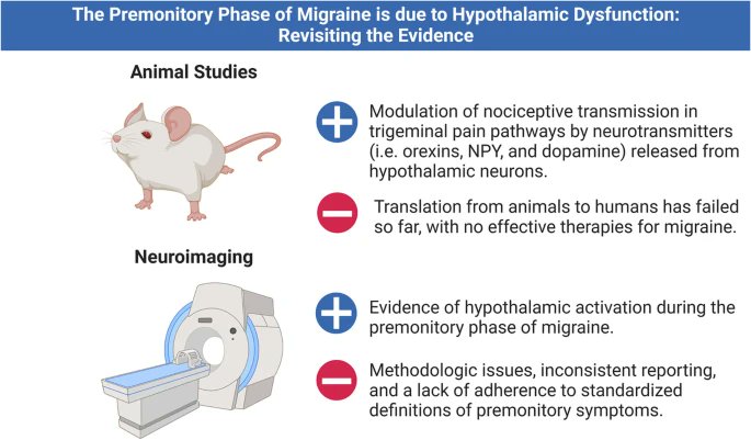 HMRU Debate Paper 🌟 The premonitory phase of migraine is due to hypothalamic dysfunction: revisiting the evidence 🧐🧠 …alofheadacheandpain.biomedcentral.com/articles/10.11… @h_ashina @daviddodick @EHF_Official @ihs_official