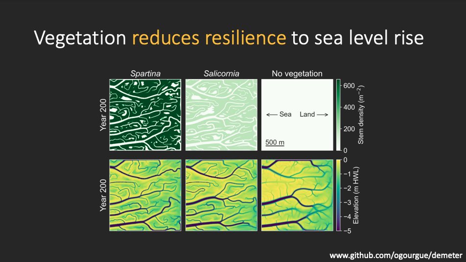 IsamarCortes1's tweet photo. Next on our lineup, we have @ogourgue's presentation titled "Dense Vegetation Hinders Sediment Transport Towards Saltmarsh Interiors". @theAGU #AGU22 #CoastalBio https://t.co/jKr5Xf2iPf