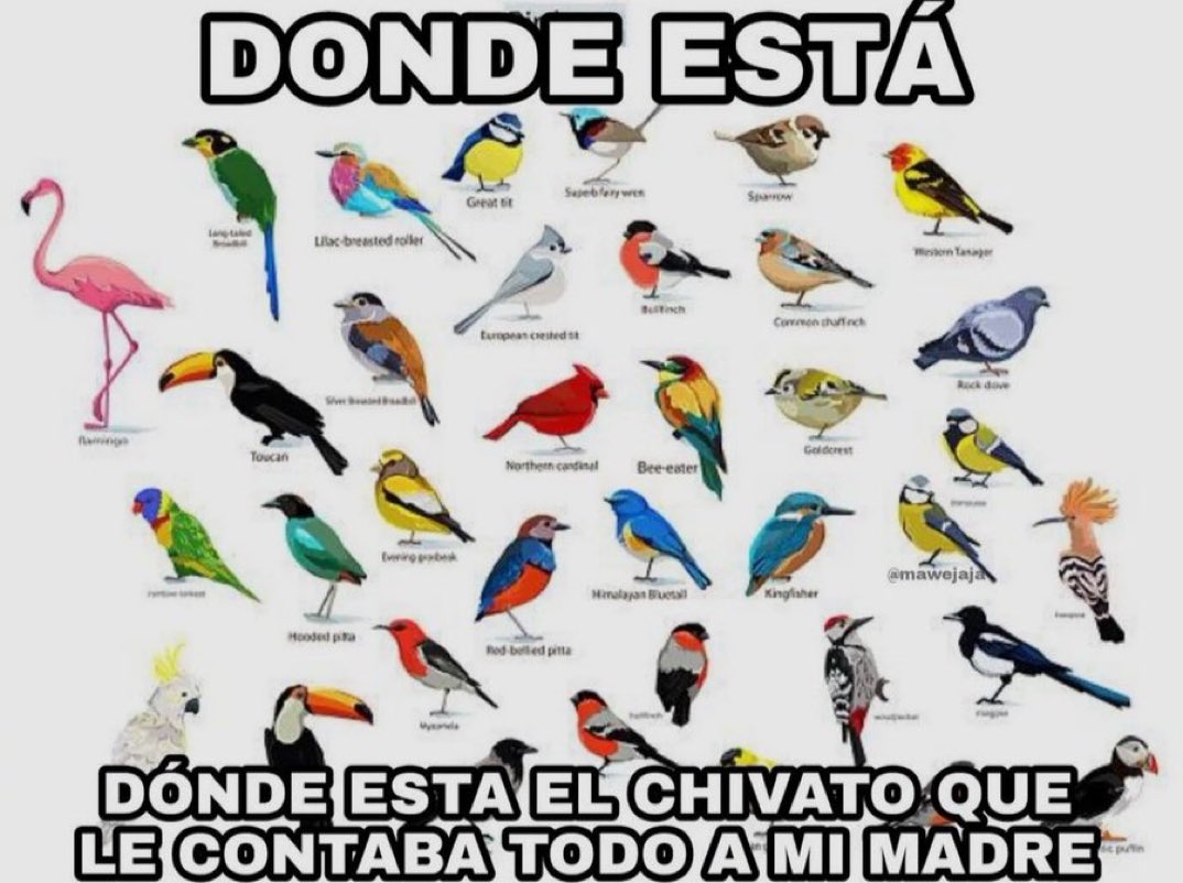 Dani 🏌🏽‍♂️ tweet media