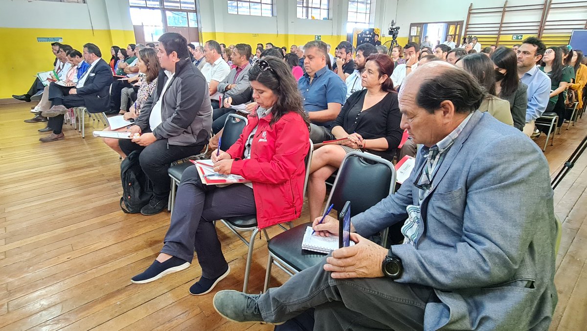 DAEM Curicó tweet media