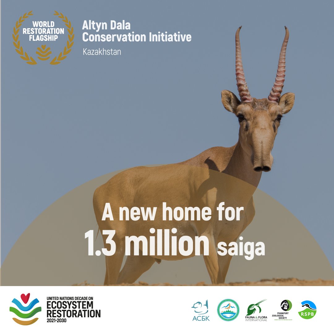 AltynDala's tweet photo. We won! 🥳 Our Initiative has been awarded as a UN World Restoration Flagship! This means we have been selected from over 150 submissions as one of the 10 best examples of large-scale ecosystem restoration.
This is the first global award of its kind. We are incredibly proud! https://t.co/OgZvgSYwwe