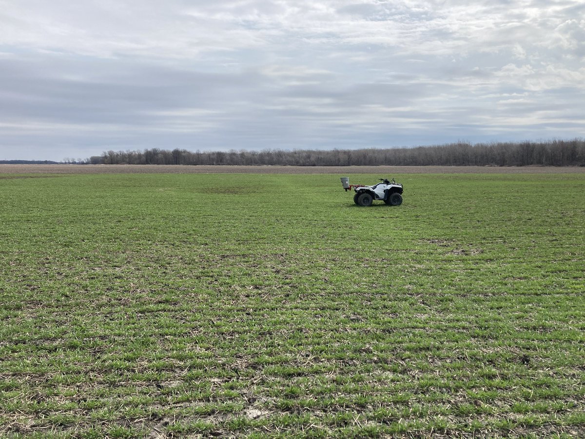ClarkAgri's tweet photo. On the 4th day of Clarksmasโฆ we want to see your overwintering crops. We love to see green in the fields this time of year! Todays prize is a @CortevaCA cooler filled with @WalkerFarms1 milk+ 2 Ontario Ag Conference tickets- live in Waterloo . #12daysofclarkmas https://t.co/QihWkRCUcI