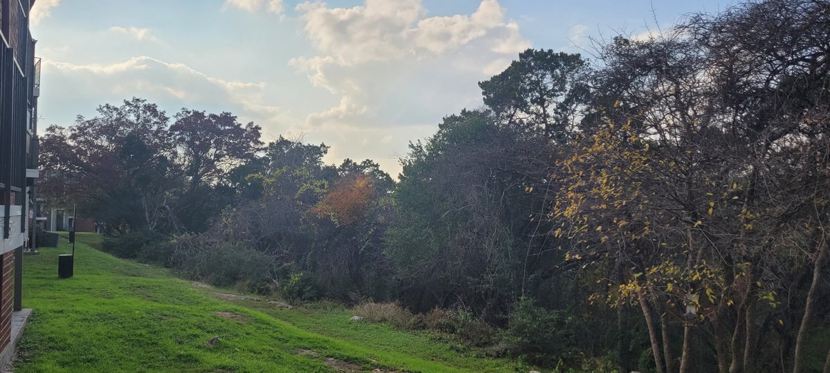 GreatHillsTx's tweet photo. Call today and ask about our Great Hills Rosewood floorplan #2802! Loaded with amenities, it also offers a beautiful view of the woods on the west side where the sunsets are amazing!

#LoveWhereYouLive #Austin #LuxuryRentals #Lifestyle #Community #Views #Amenities #GreatHills https://t.co/lWLfhLYOFN