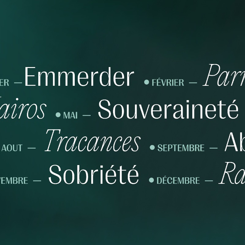 enderbyagency's tweet photo. Emmerder, tracances, canicule, inflation... autant de mots qui ont jalonné l’actualité en 2022. Un bien grand mot revient pour sa 4e édition sur ces marqueurs forts des transformations et des crises traversées. Un décryptage exclusif signé @DelphineJouenne aux Éditions Enderby 📖