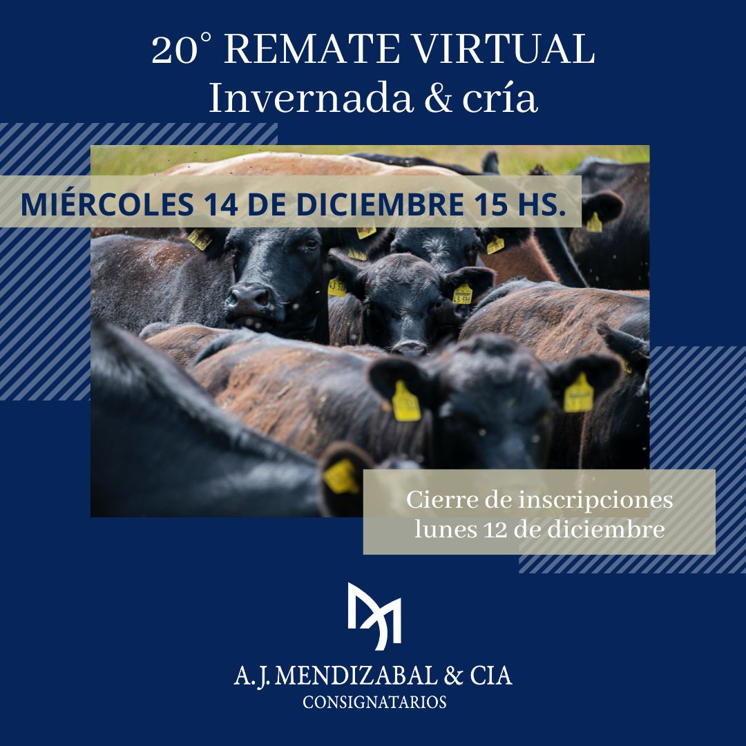 ajmendizabal's tweet photo. Mañana! Último remate virtual del año.

#ganadería #hacienda #rematevirtual https://t.co/a8GMRJZt8K