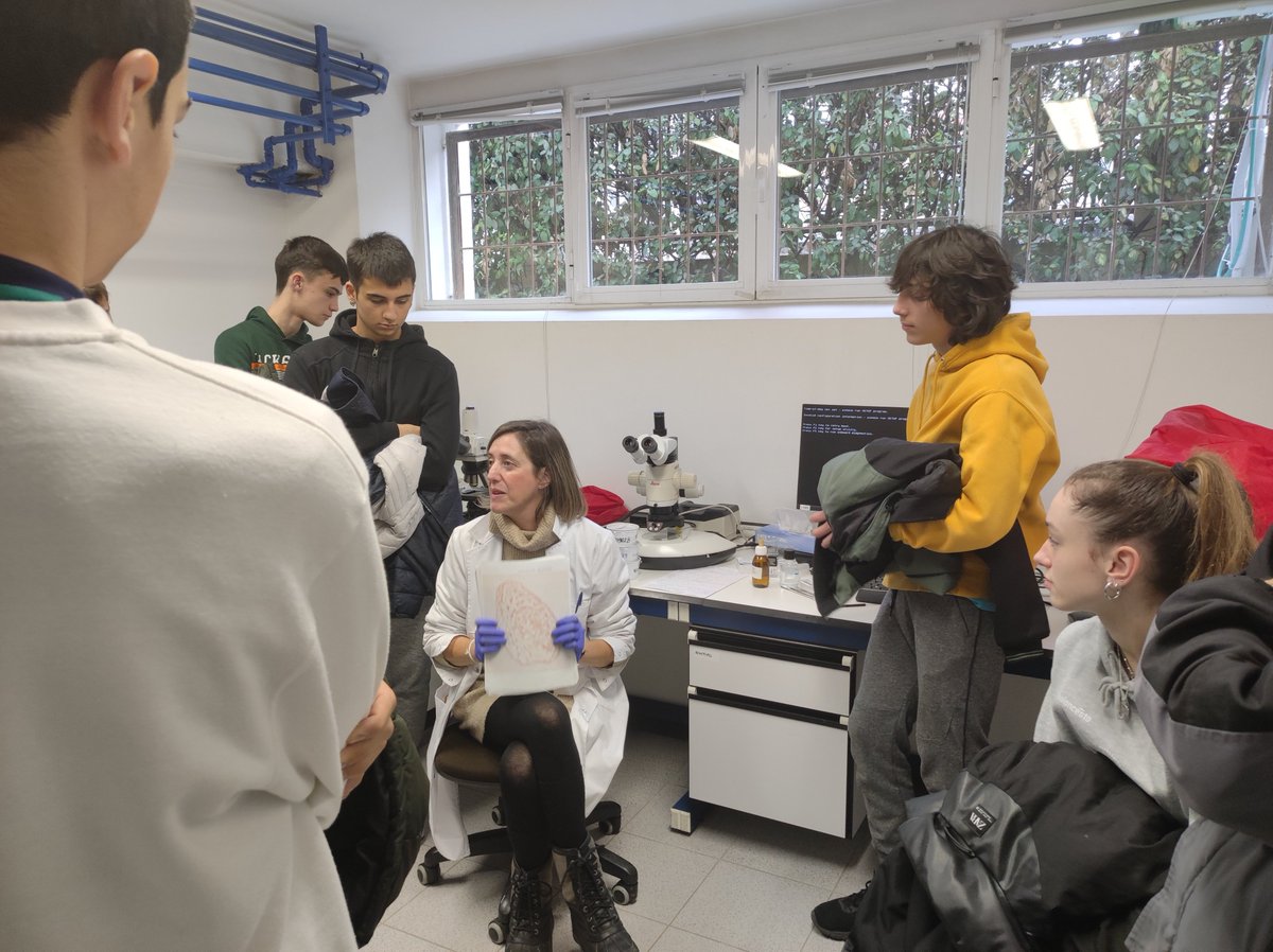 NASERTIC's tweet photo. NASERTIC con la #I+D+i, el talento especializado y el desarrollo #sostenible de #Navarra
Hoy 60 alumnos y alumnas de 4º ESO @iesplazacruz han conocido el Laboratorio de #NASERTIC así como todas las actividades que realizamos en el área agroalimentaria y toxicológica forense https://t.co/4elFfLXeEK
