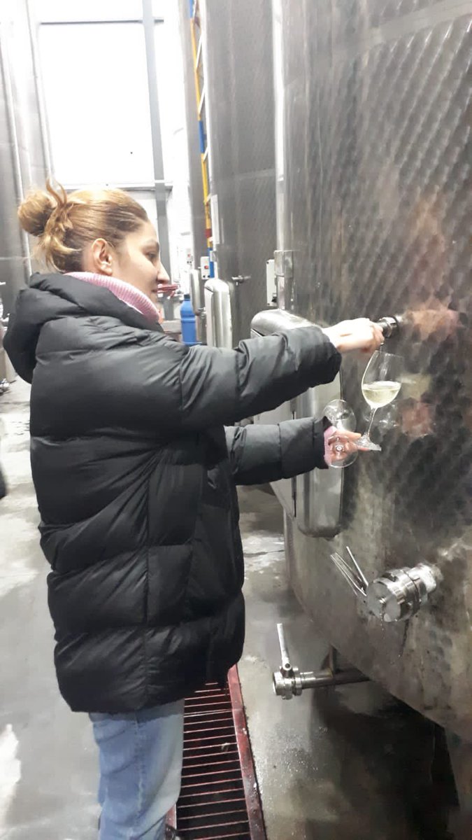 HadasMeitzad's tweet photo. 2/3 I Enjoyed visiting farms and wineries in Kaheti together with Mayor of #Kvareli Zautashvili& ShalomClub founders Germanishvili & Kobiashvili. Tasted many good natural 🍎🍐🍒🍑 juices at #Alali and wonderful 🍷at #GRW and #Khareba including Kosher wine. https://t.co/URaaILbHuk