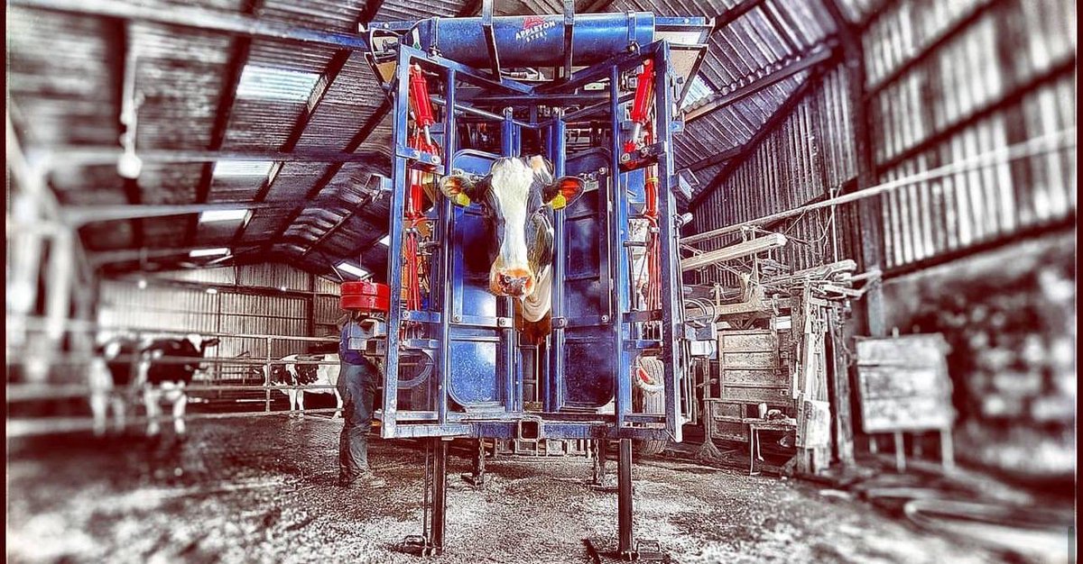 The Hoof GP tweet media