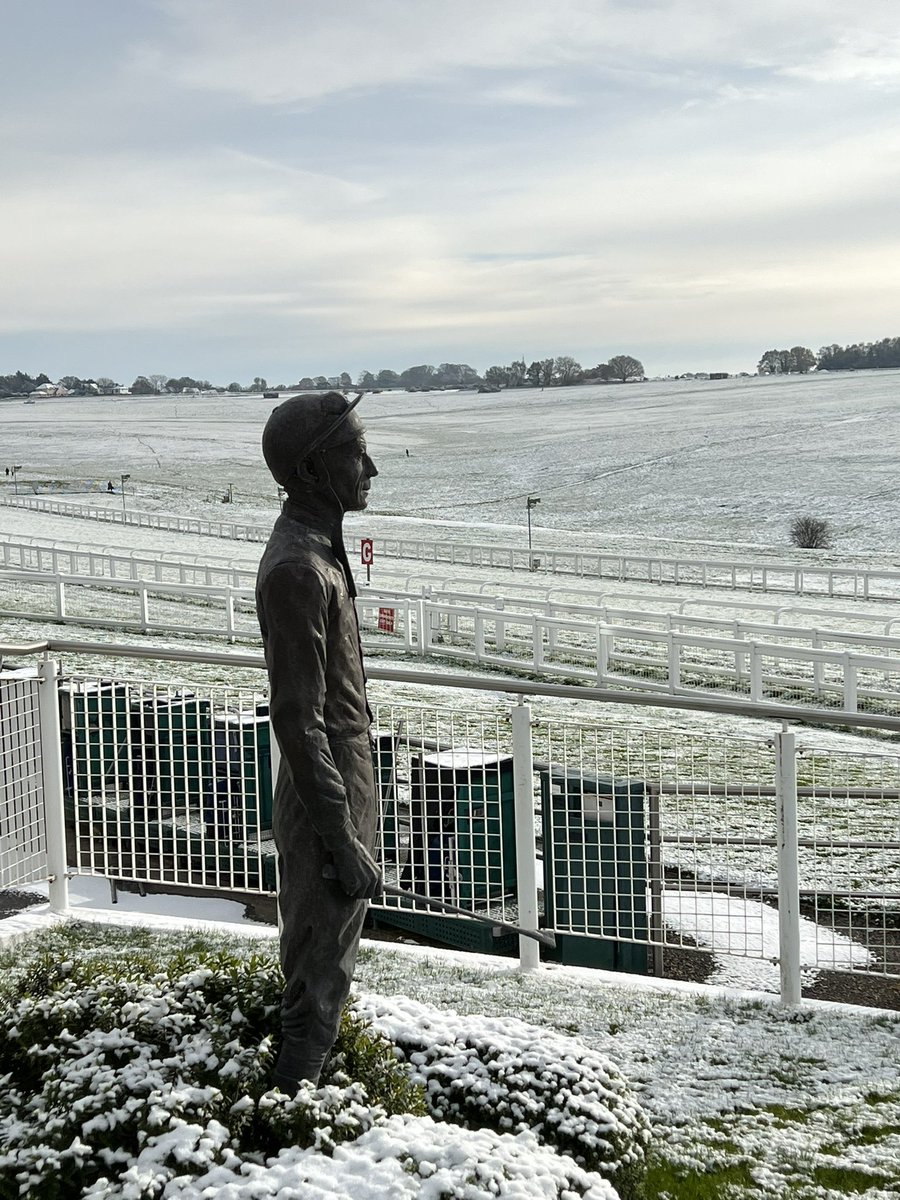 Brian Finch tweet media