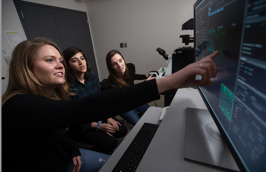 Heads up! The Provost is launching a new STEM Postdoctoral Fellow Program. Applications will be considered on a rolling basis but apply by January 9 for best consideration.

Learn more and apply at: bit.ly/CarneySTEMpost…