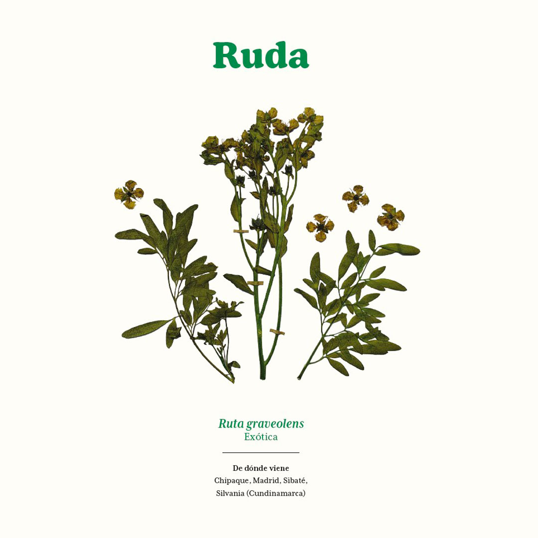 Dorian Villa S. on Twitter: