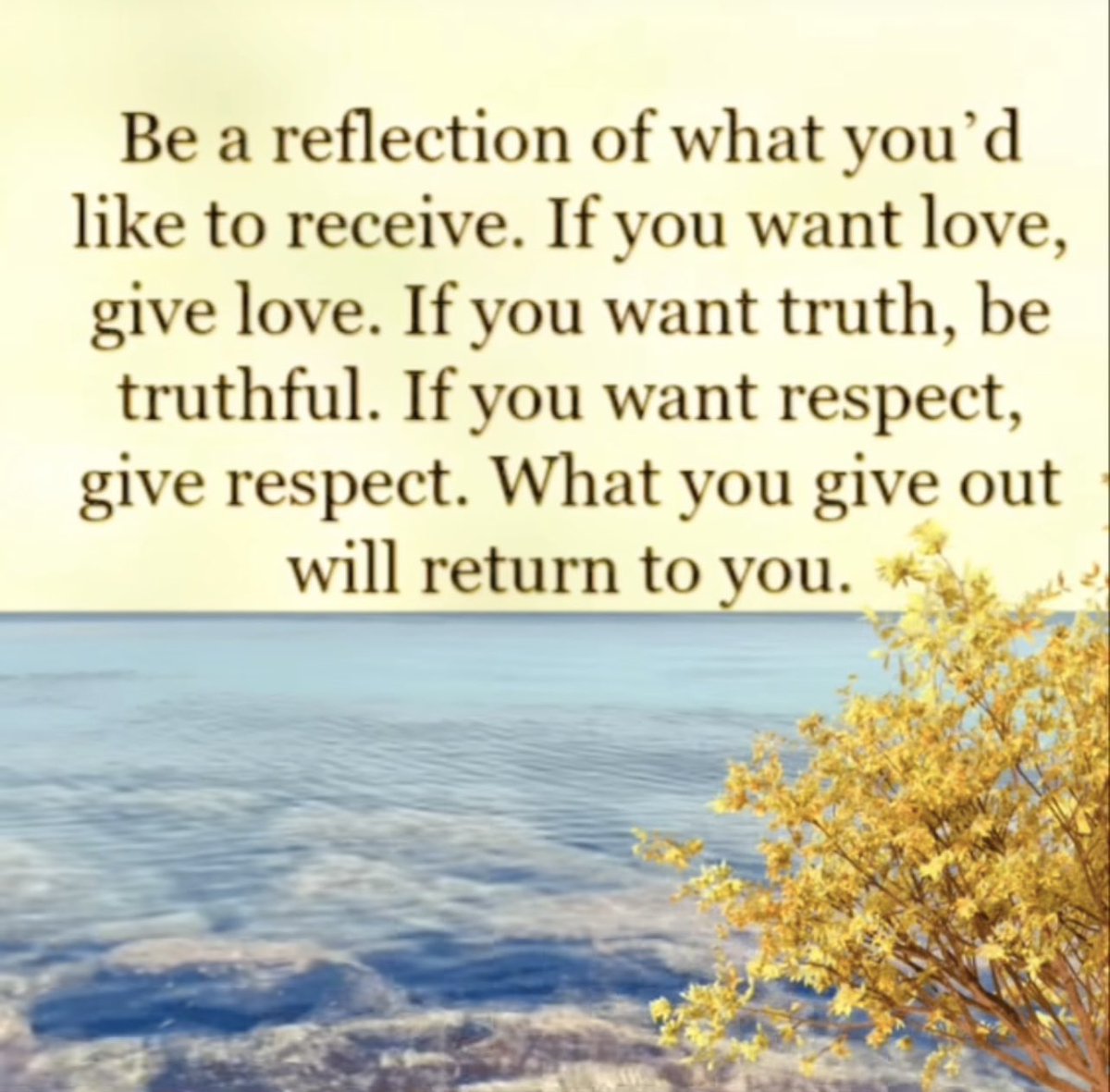 PAY ATTENTION To What You Are REFLECTING ON, IT MATTERS‼️🤔