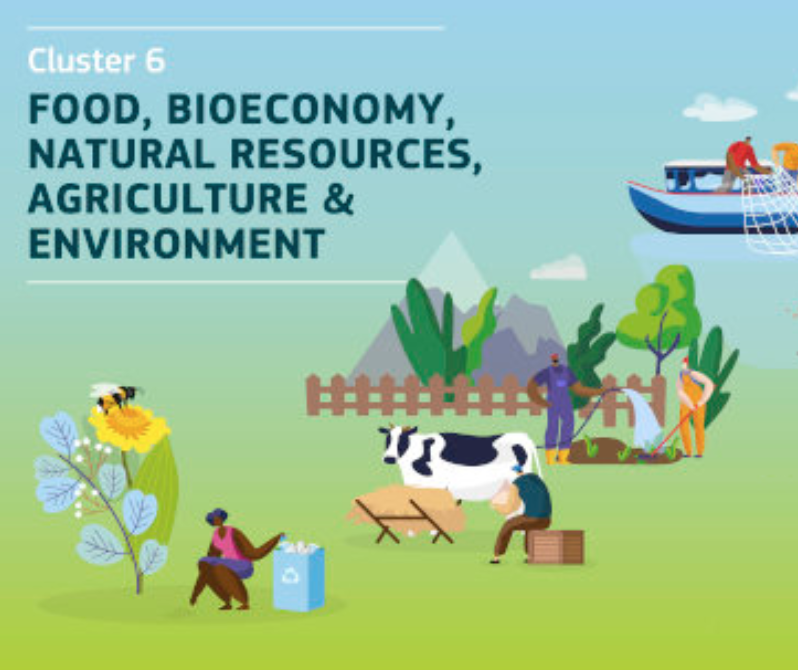 DeepFall_Proj's tweet photo. A new call for EU Projects will be focused on "Restoration of deep-sea habitats" HORIZON-CL6-2023-BIODIV-01-6, interested? https://t.co/JXIUMyOICx