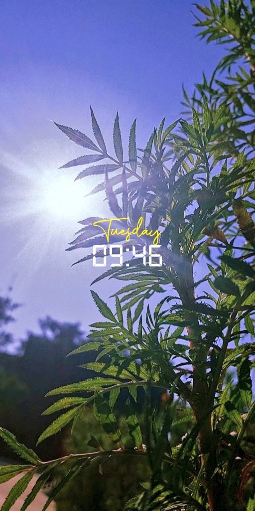 Pyali86's tweet image. Choose yourself wholeheartedly ☃️