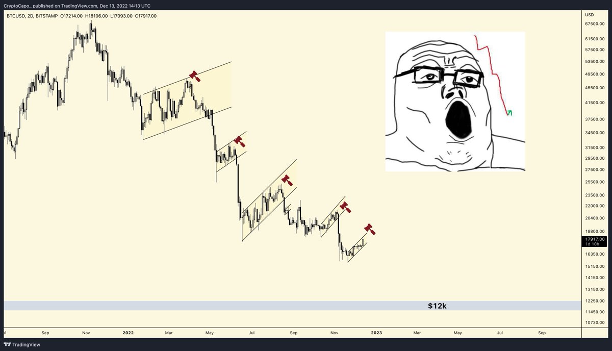 il Capo Of Crypto (@cryptocapo_) on Twitter photo 