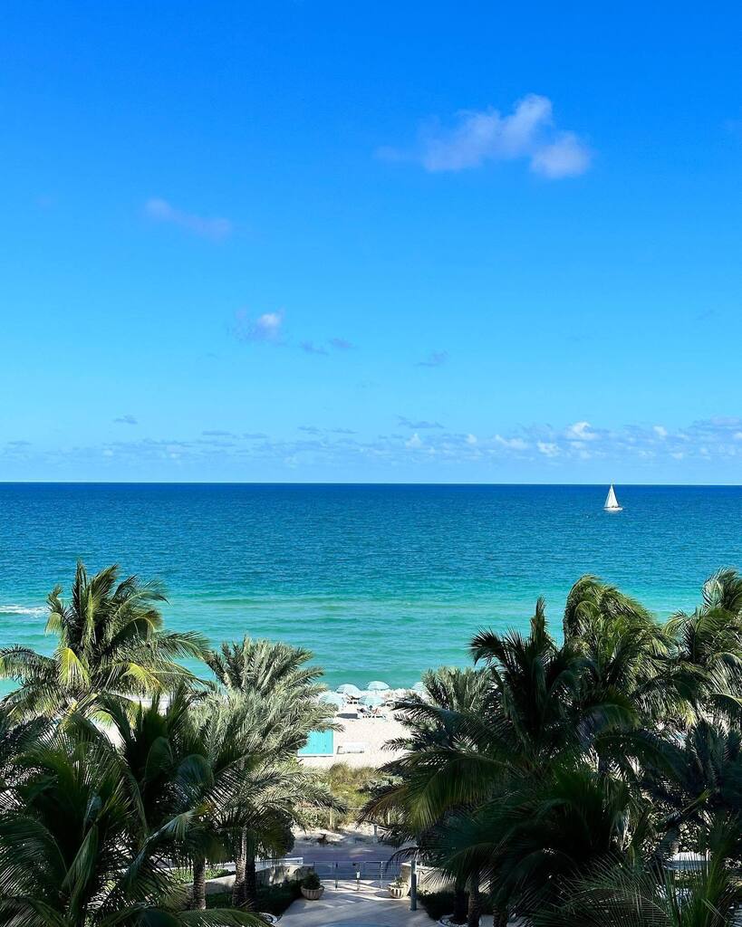 TheMiamiGuide's tweet photo. Happy #TurtleTuesday from Miami Beach 🐢🌴 What are you most excited about seeing this ocean view?!
🌊
Let us keep our beaches and oceans clean! Follow @miamidadeseaturtles and drop a 💙 below to show your love for Miami Sea Turtles!
.
.
.
#SaveMi… https://t.co/uDwEAz0ZUI https://t.co/rPmrcRoTAk