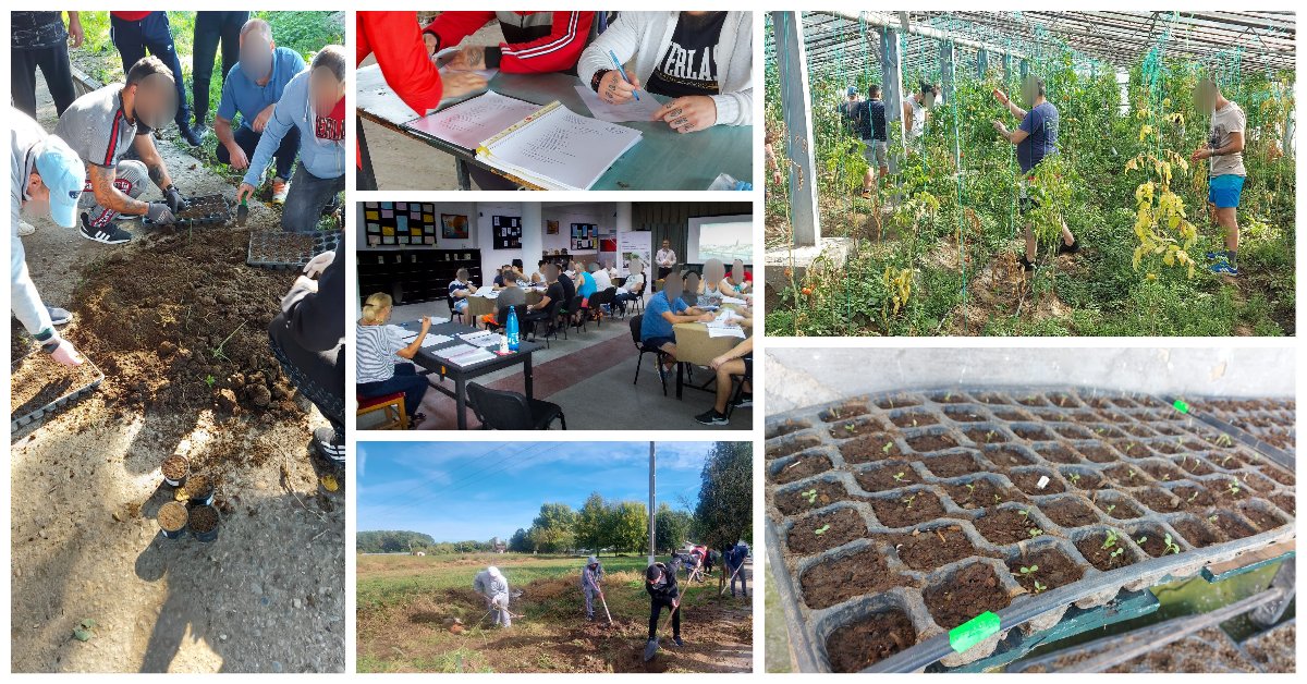 AnpGrants's tweet photo. 🧑‍🌾Between 18.07.2022-09.12.2022, at Mărgineni Penitentiary the qualification training course in growing plants for inmates took place, 53 persons deprived of their liberty were trained (14 ethnic Roma)

SECURE is financed by @EEANorwayGrants

More details: https://t.co/Nzy2bfYM3z https://t.co/2kODZWwLNM