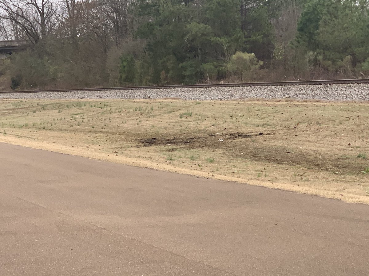 JeremypierreFOX's tweet photo. BREAKING:
Three independent sources confirmed to me they located missing U of M student Barshay Wilson’s body off Hwy 70 in Arlington yesterday. A burned out car and his body buried yards away underneath leaves and tree branches. Wilson was supposed to graduate Sunday. https://t.co/aoXICEthCL
