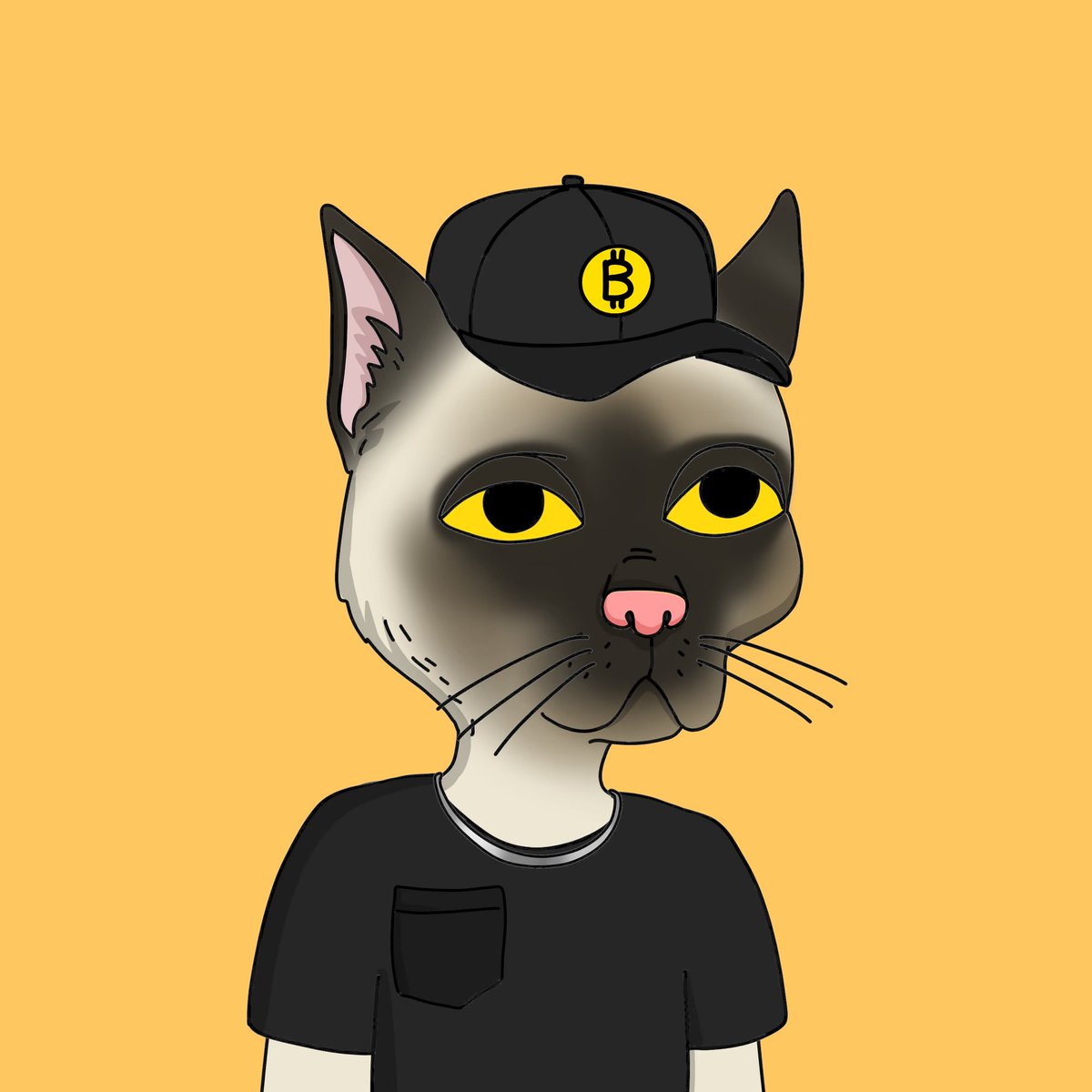 Bazooka J tweet media