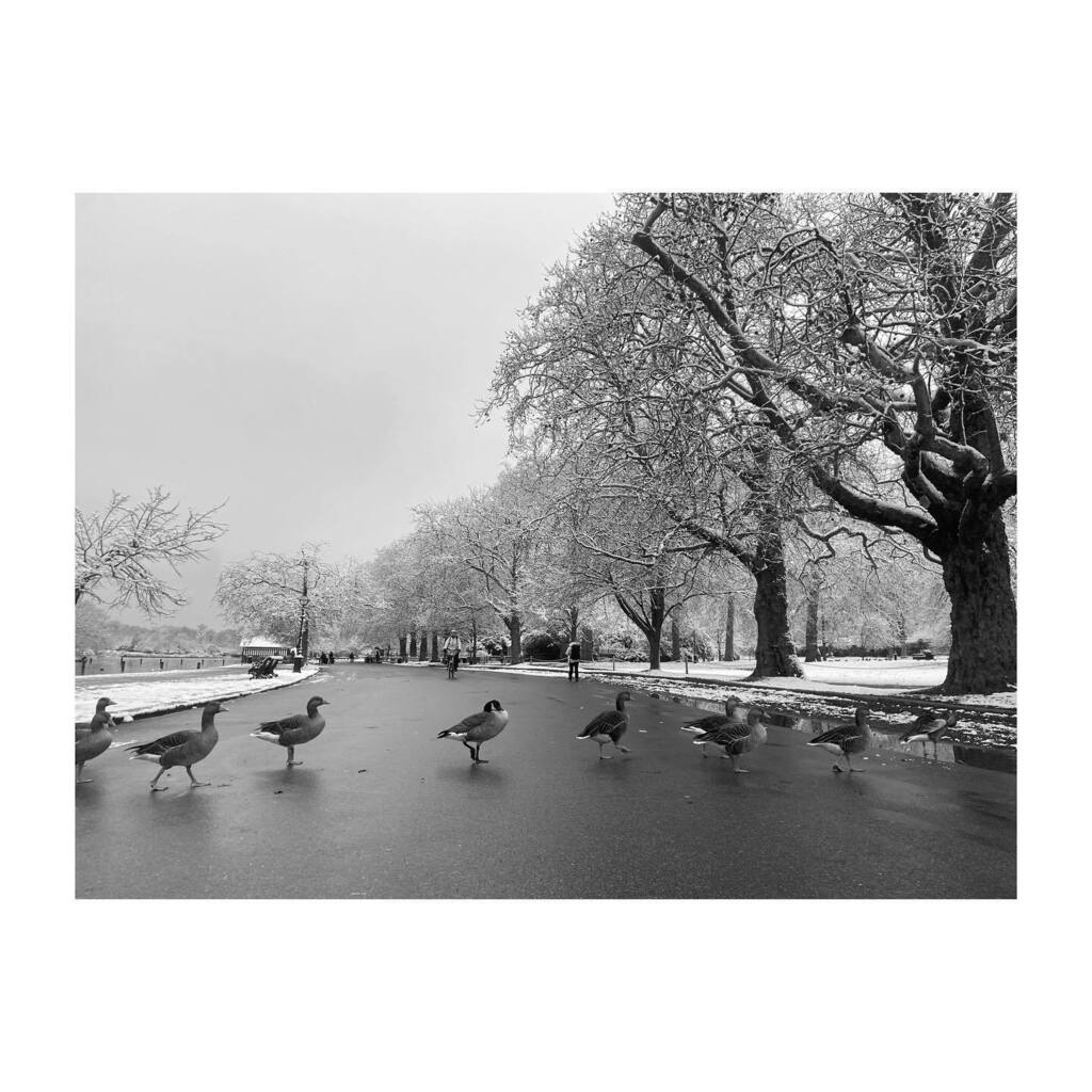 #naturelovers #lifestyleblogger #blackandwhitephotography #makemoments #winter instagr.am/p/CmHGqCUt_Us/