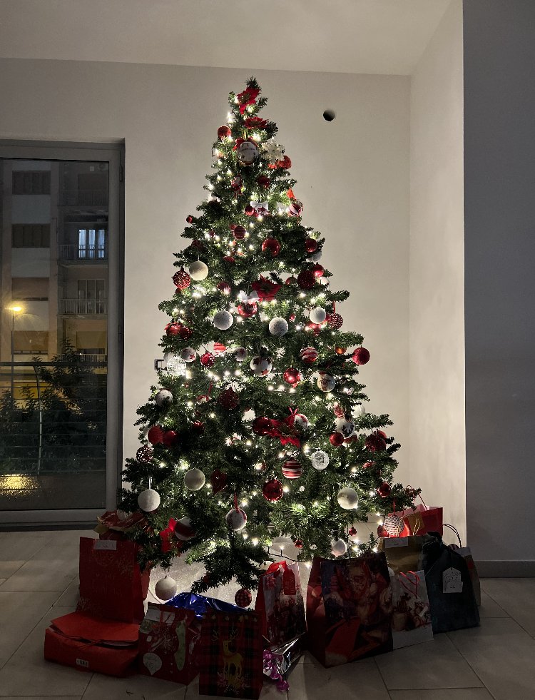 FinanzaT's tweet photo. È stato un 2022 scoppiettante!🚀

Per questo Natale, infatti, abbiamo deciso di addobbare l'ufficio di Salerno con non uno, ma ben due alberi!🤩

Uno vero e l’altro di... @LEGO🎄

#staytuned #natale #christmas #christmastree #teamwork #lights #holidays #joy #fintech #fintechnews https://t.co/OZiOI4XiBP