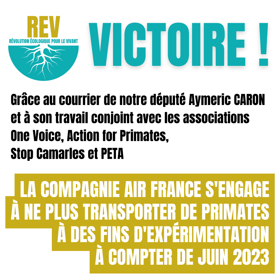REVPourLeVivant's tweet photo. Victoire !
#experimentationanimale
@PETA_France @onevoiceanimal @StopCamarles #ActionForPrimates @CaronAymericoff https://t.co/zM41imAMJc