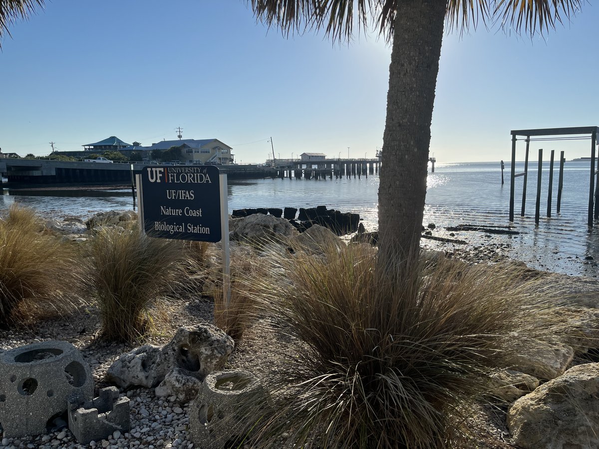A few pics of <a href="/UF_FIBER/">Florida Institute for Built Environment Resilience</a>'s <a href="/vonmeding/">Jason von Meding 🇵🇸</a> and Carla Brisotto working in Cedar Key last week with @SeaGrantSavanna and team!