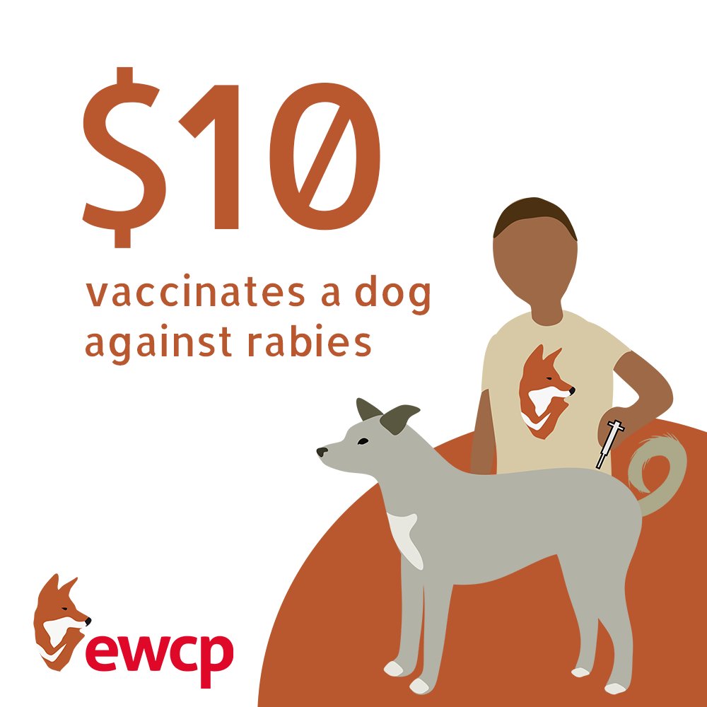 Just $10 vaccinates a dog against #rabies, protecting their families and #Ethiopianwolves

And, until the end of the year, your donation goes twice as far thanks to matched funds up to $20,000!

ethiopianwolf.org/donate

#OneHealth