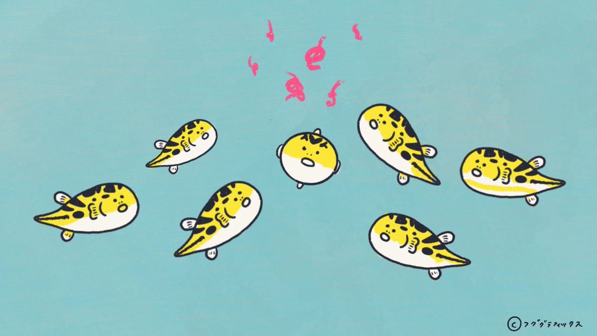 fugu_graphic's tweet photo. フグが上から落ちてくるごはんを待つ姿に既視感があったのですが、バスケットの試合が始まる時のジャンプボール?に似てる気がします。
#アベニーパファー
#フグ #pufferfish #dwarfpuffer #peapuffer https://t.co/ZESQBoKRhc