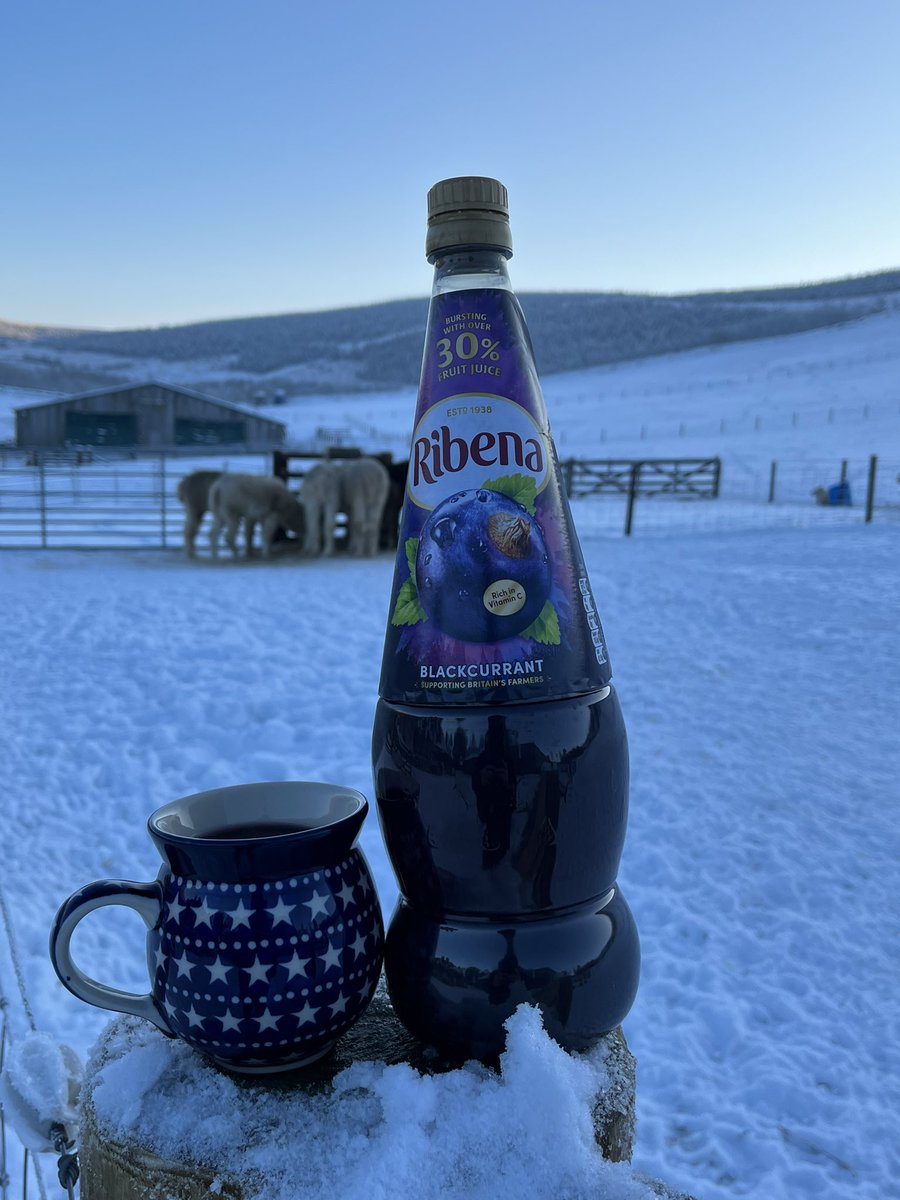 @RibenaUK thank you for this liquid lovliness. It’s -14.5 up here at #beirhope in the #scottishborders and I’ve spent all day bucketing water & hay around. This is just what the Alpaca Trekker needs to keep going 🦙🥶