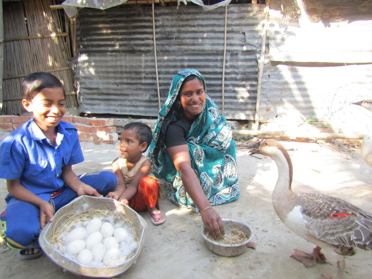 IMPACT_UK_'s tweet photo. IMPACT #CharityGifts support projects to prevent & treat needless disability including operations to restore sight; nutritious vegetable gardens; & gifts to help people facing food & fuel poverty https://t.co/oPAkzQUpy6 #CharityChristmasGifts #DonateASlowCooker #GiftsForGardeners https://t.co/UCBQQN0dtZ