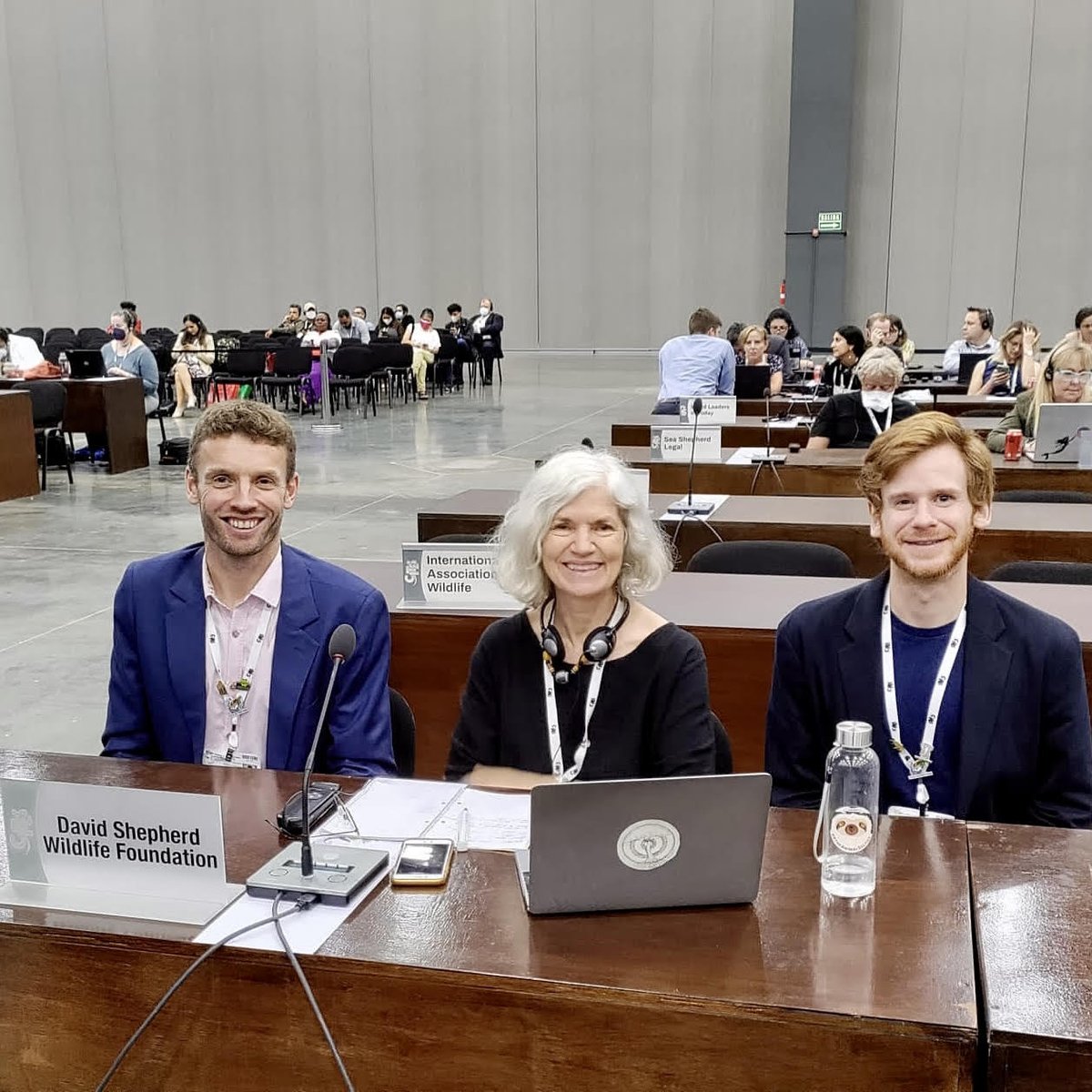 Last month, we attended CITES COP 19, a hugely significant wildlife trade conference that took place in Panama. 🌎 

Inevitably, there was a mixture of successes and setbacks. 

Read our article to find out some of the key outcomes: davidshepherd.org/news/a-round-u…